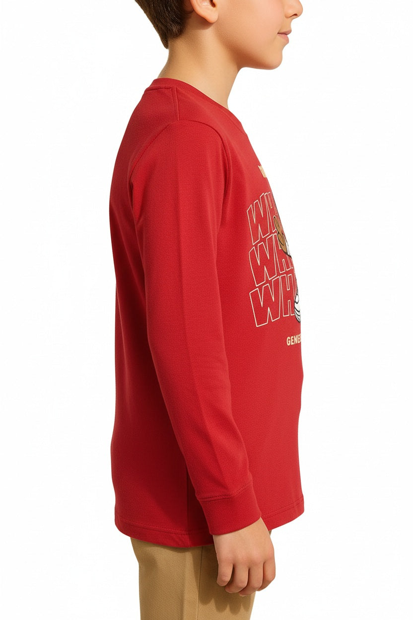 Boys  Cotton Round Neck Tshirts
