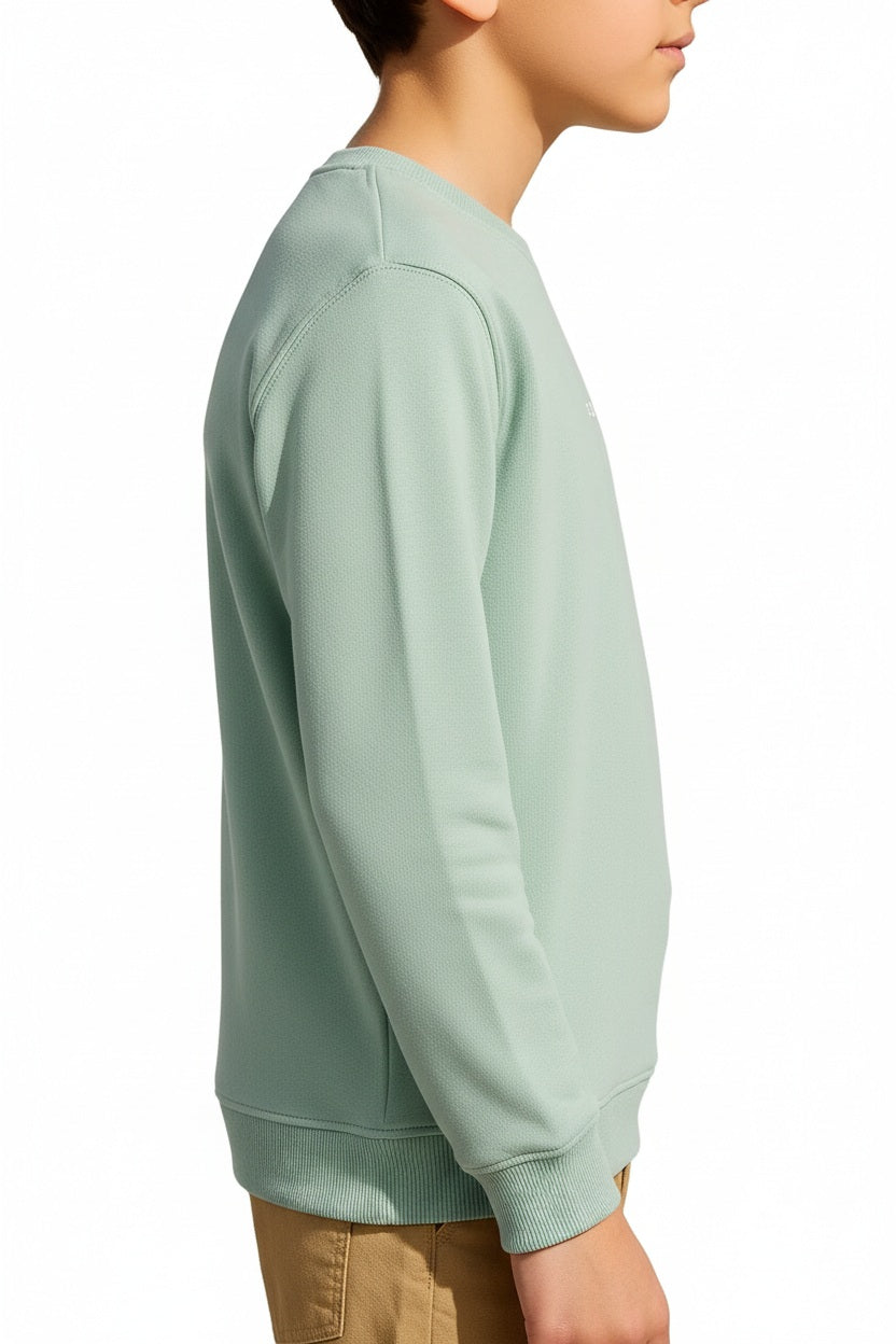 Boys Printed Sweatshirt