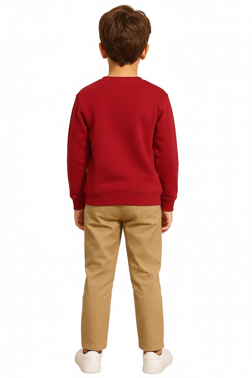 Boys Round Neck Graphic Print  Sweatshirt