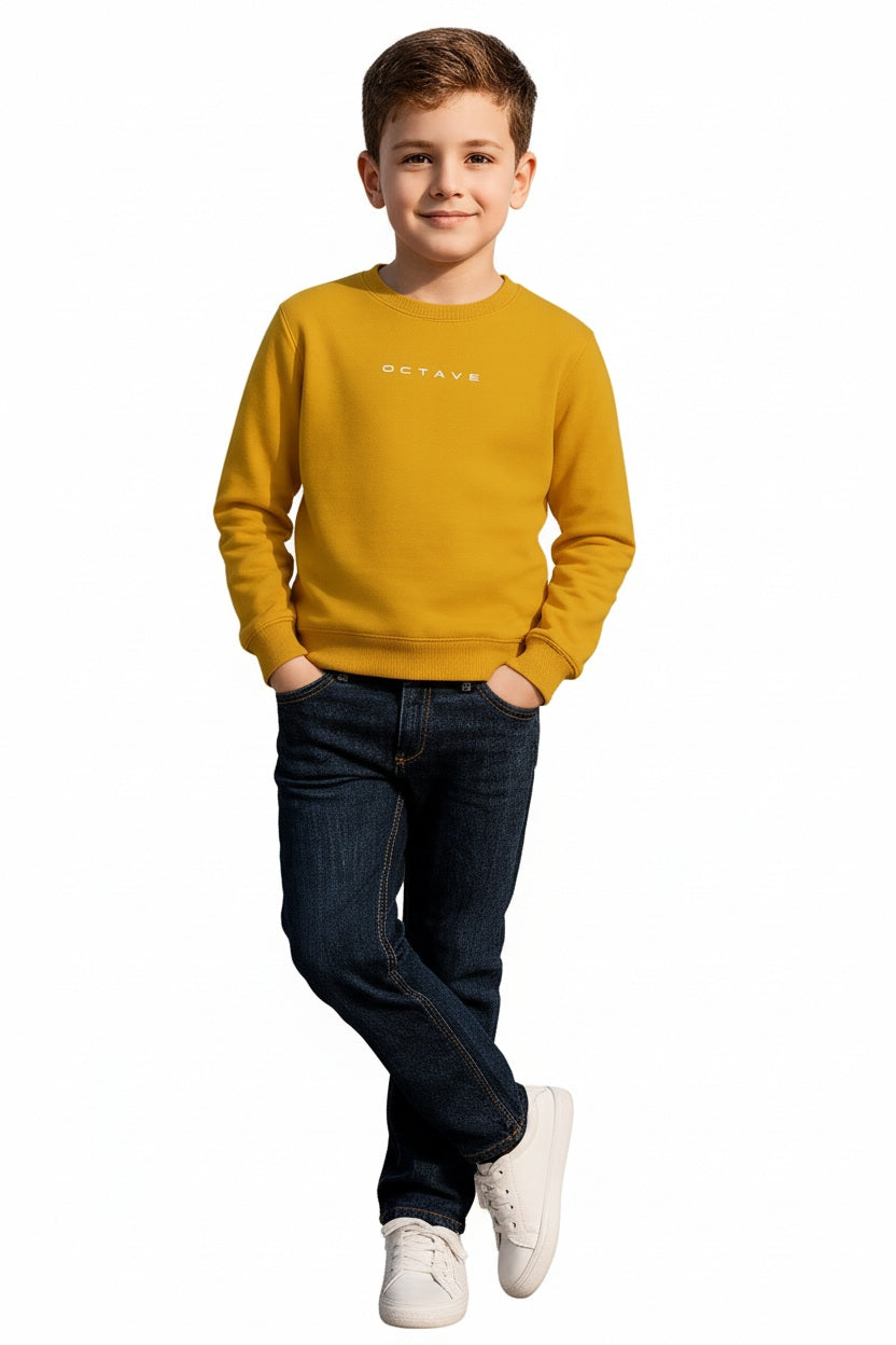 Boys Round Neck Graphic Print  Sweatshirt