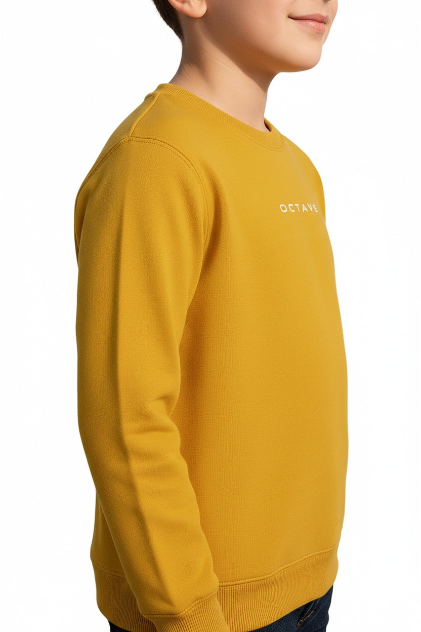 Boys Round Neck Graphic Print  Sweatshirt