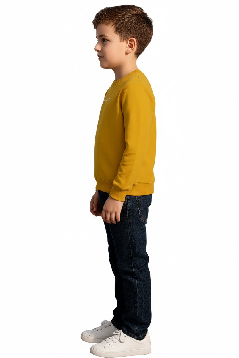 Boys Round Neck Graphic Print  Sweatshirt