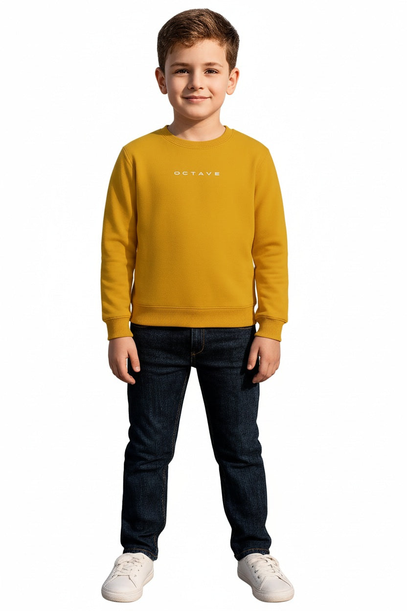 Boys Round Neck Graphic Print  Sweatshirt