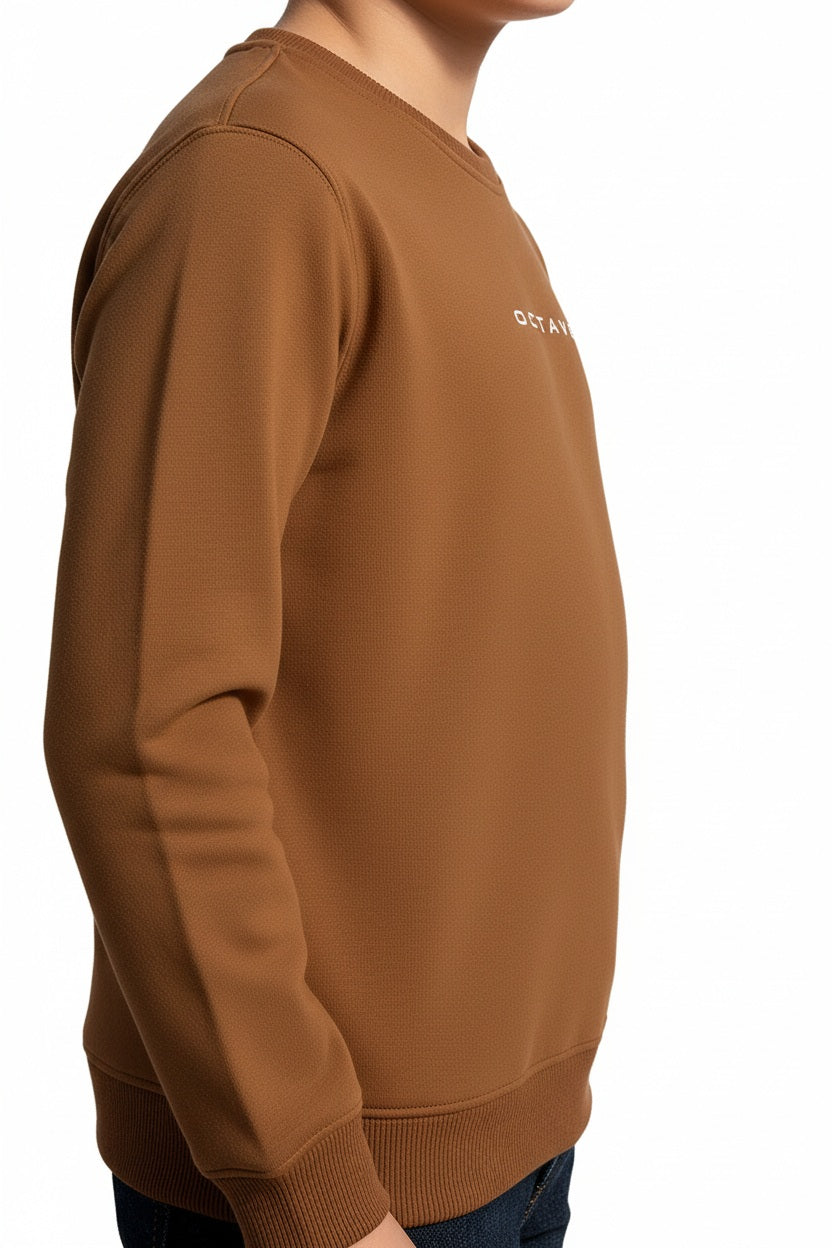 Boys Round Neck Graphic Print  Sweatshirt