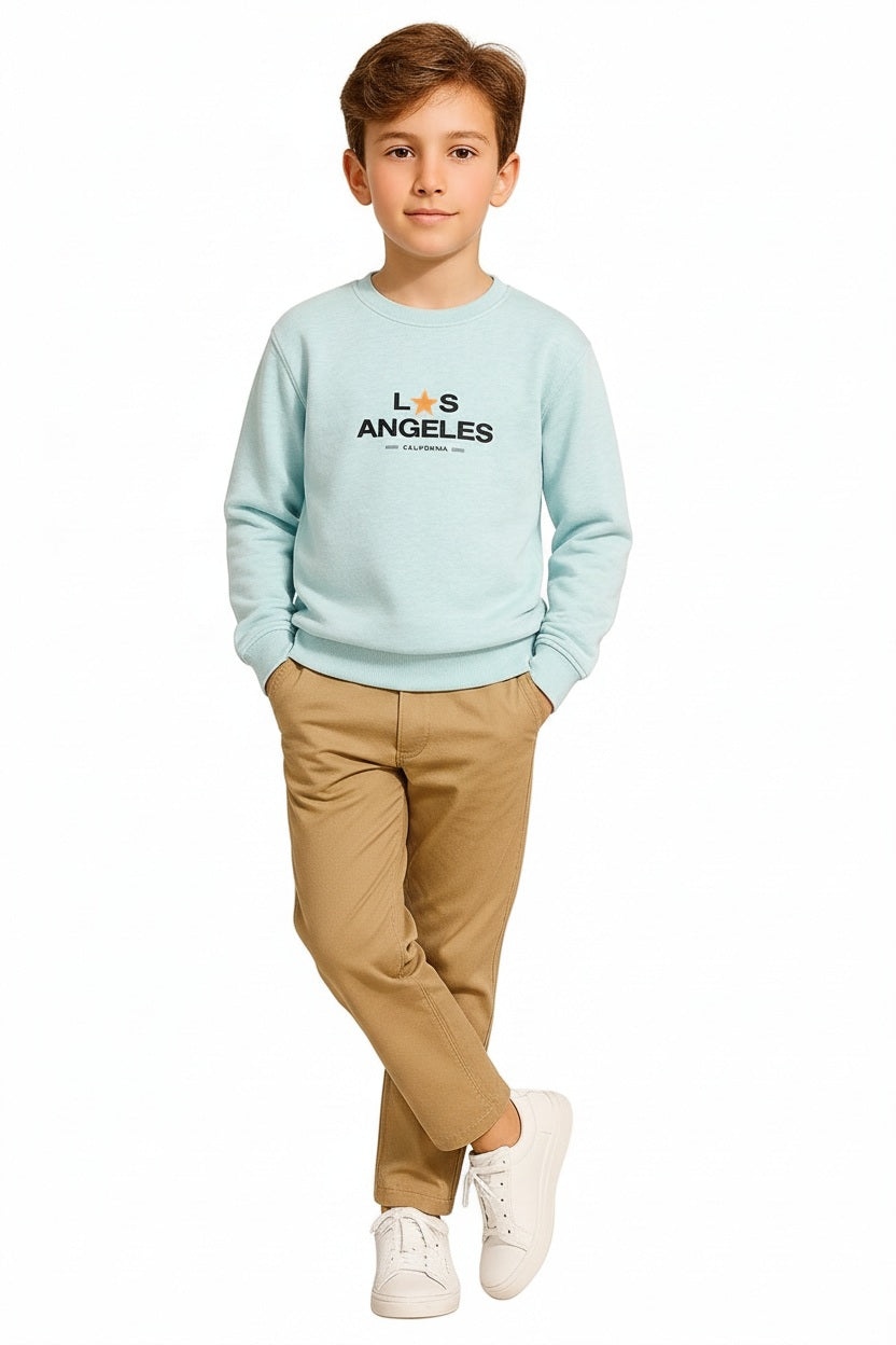 Boys Round Neck Graphic Print  Sweatshirt