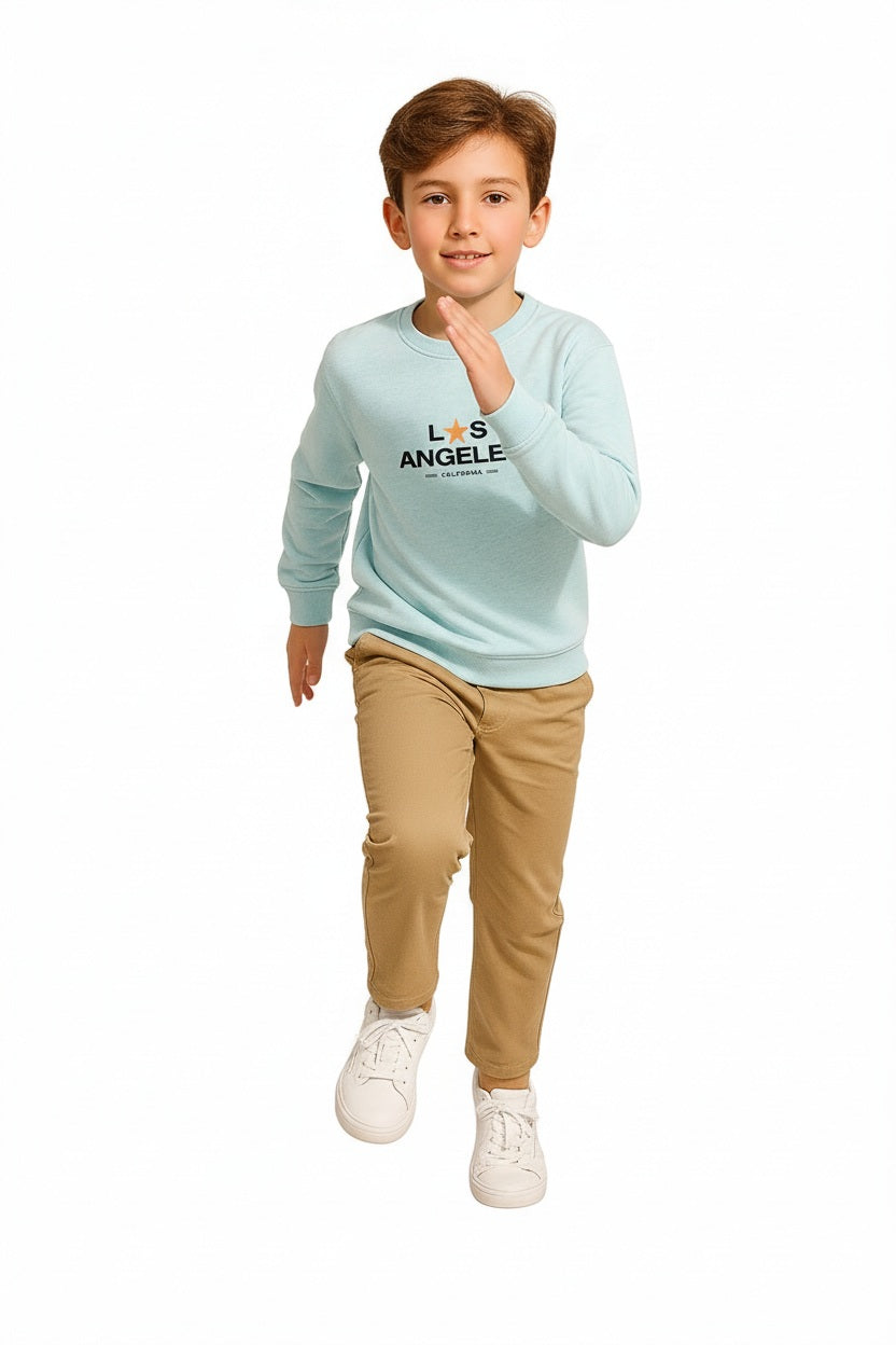 Boys Round Neck Graphic Print  Sweatshirt