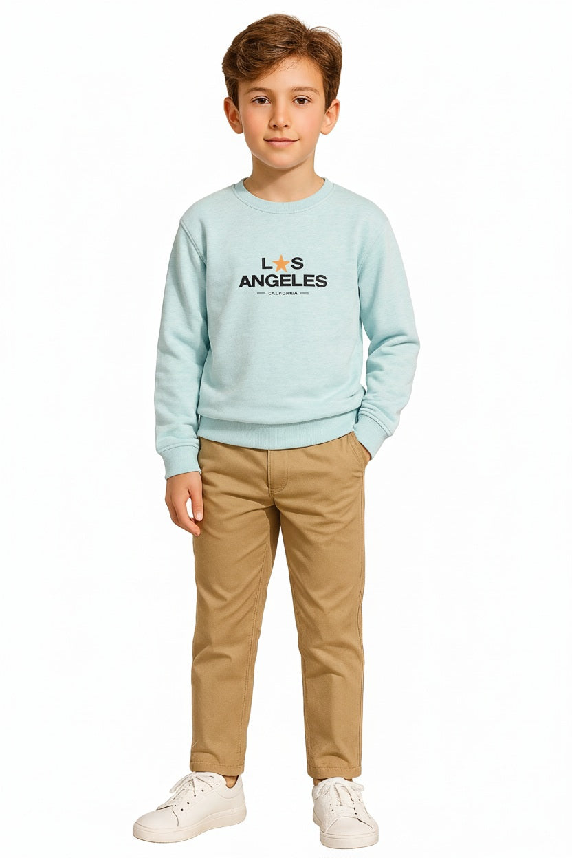 Boys Round Neck Graphic Print  Sweatshirt