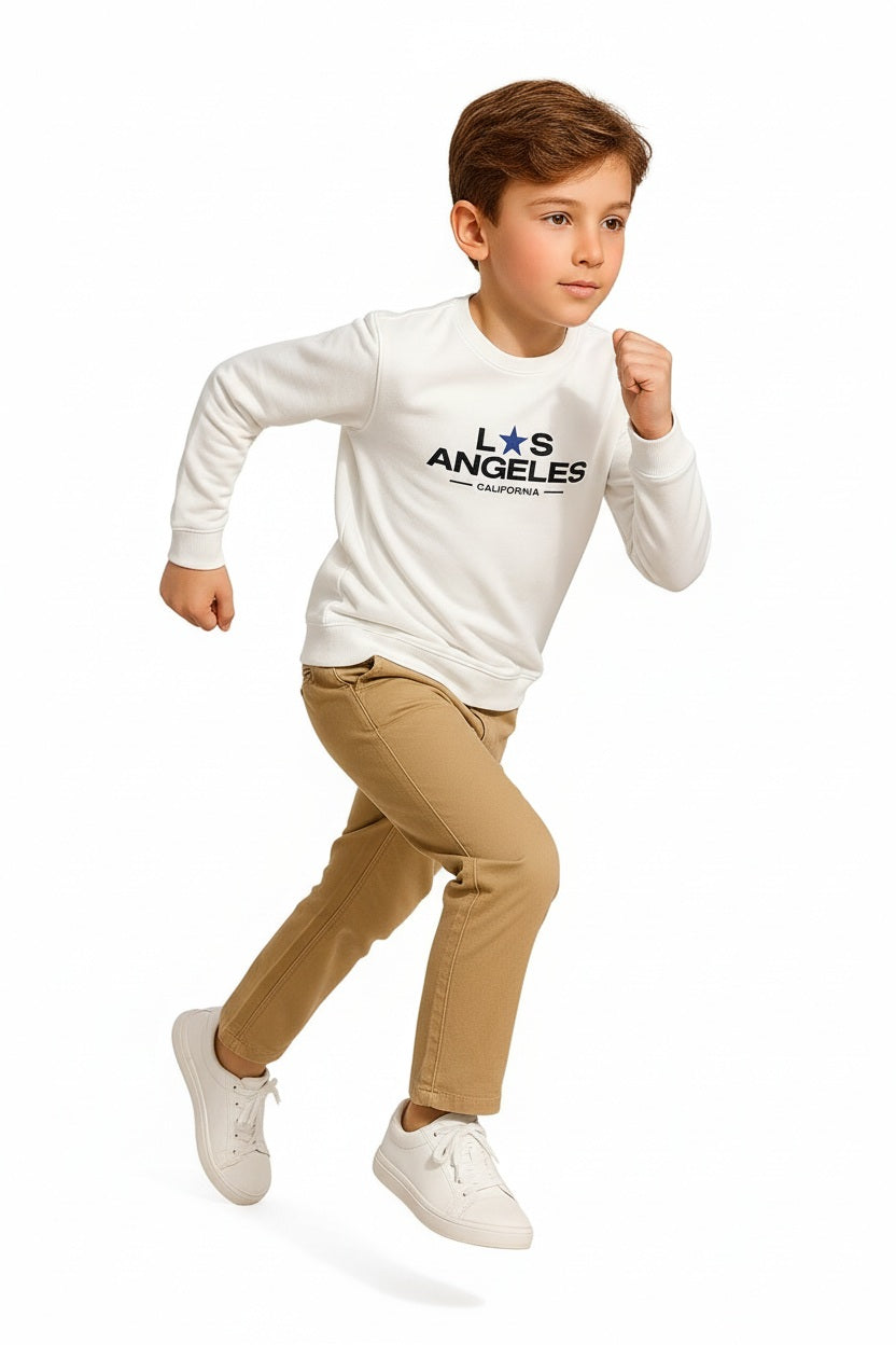 Boys Round Neck Graphic Print  Sweatshirt