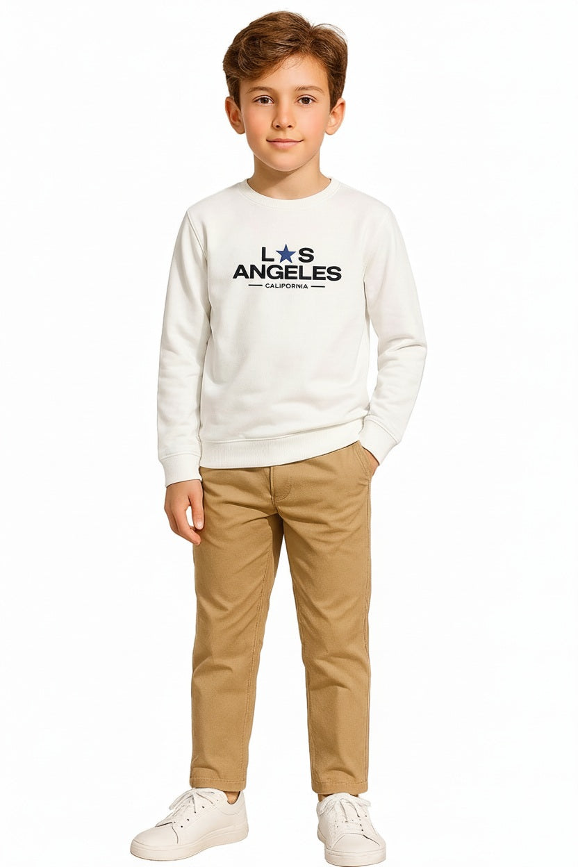 Boys Round Neck Graphic Print  Sweatshirt