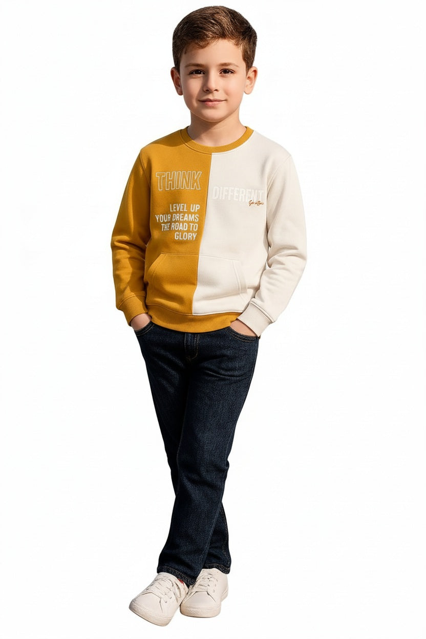 Boys Round Neck Colourblocked Sweatshirt