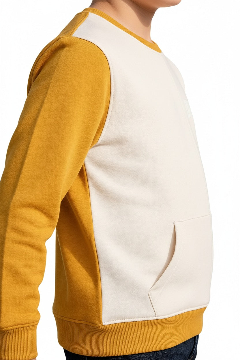 Boys Round Neck Colourblocked Sweatshirt
