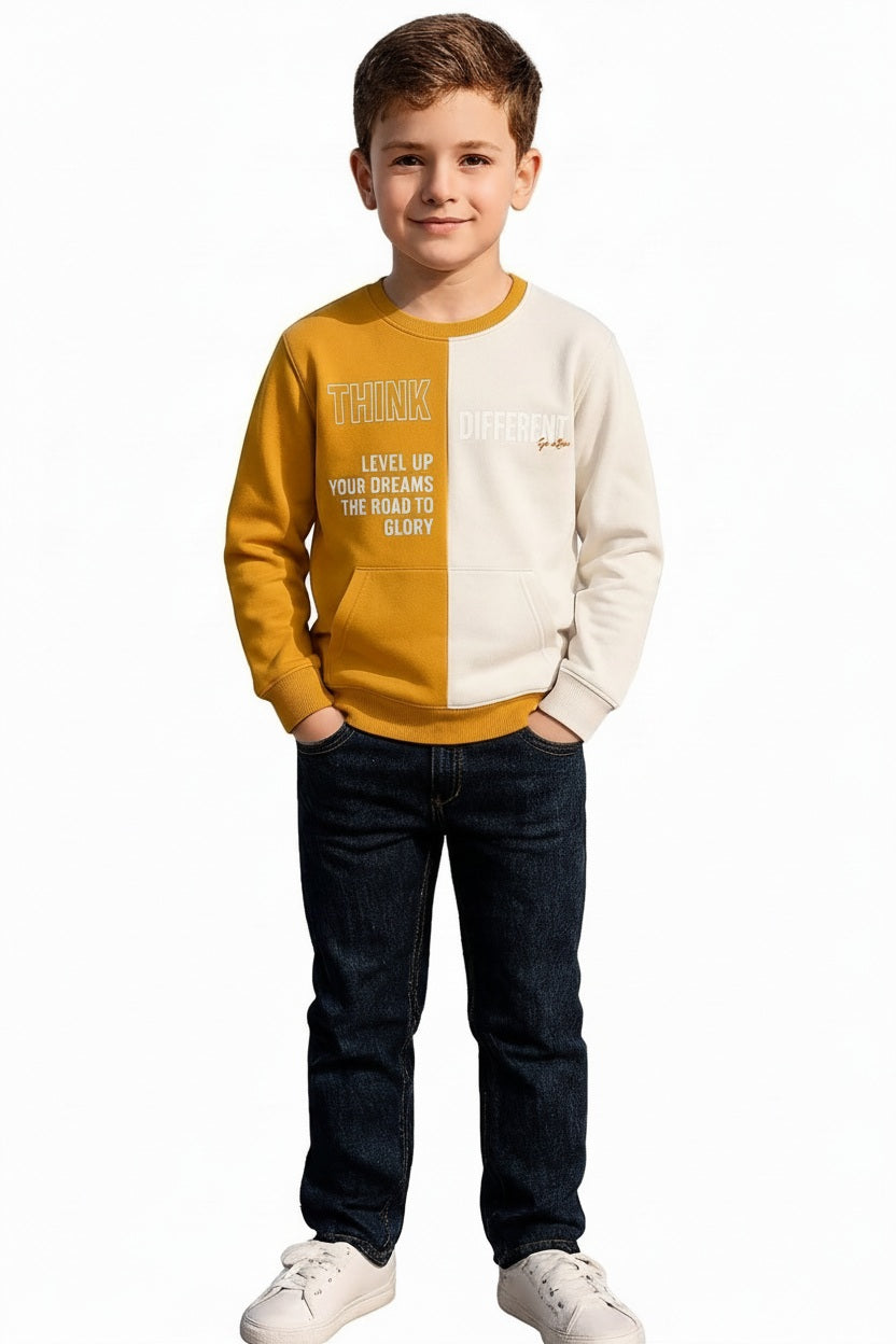 Boys Round Neck Colourblocked Sweatshirt