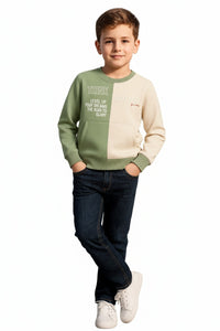 Boys Round Neck Colourblocked Sweatshirt