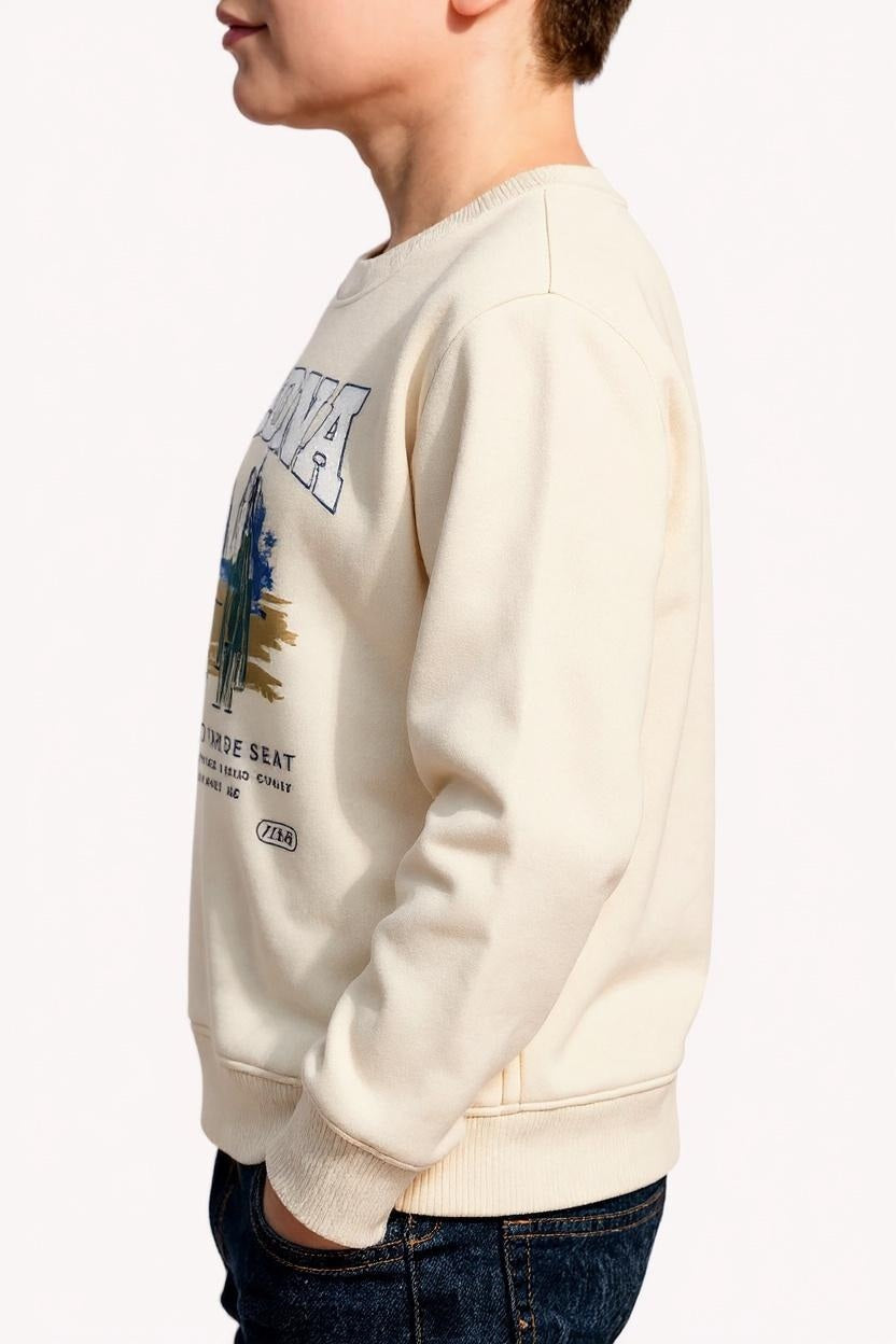 Boys Round Neck Graphic Print  Sweatshirt