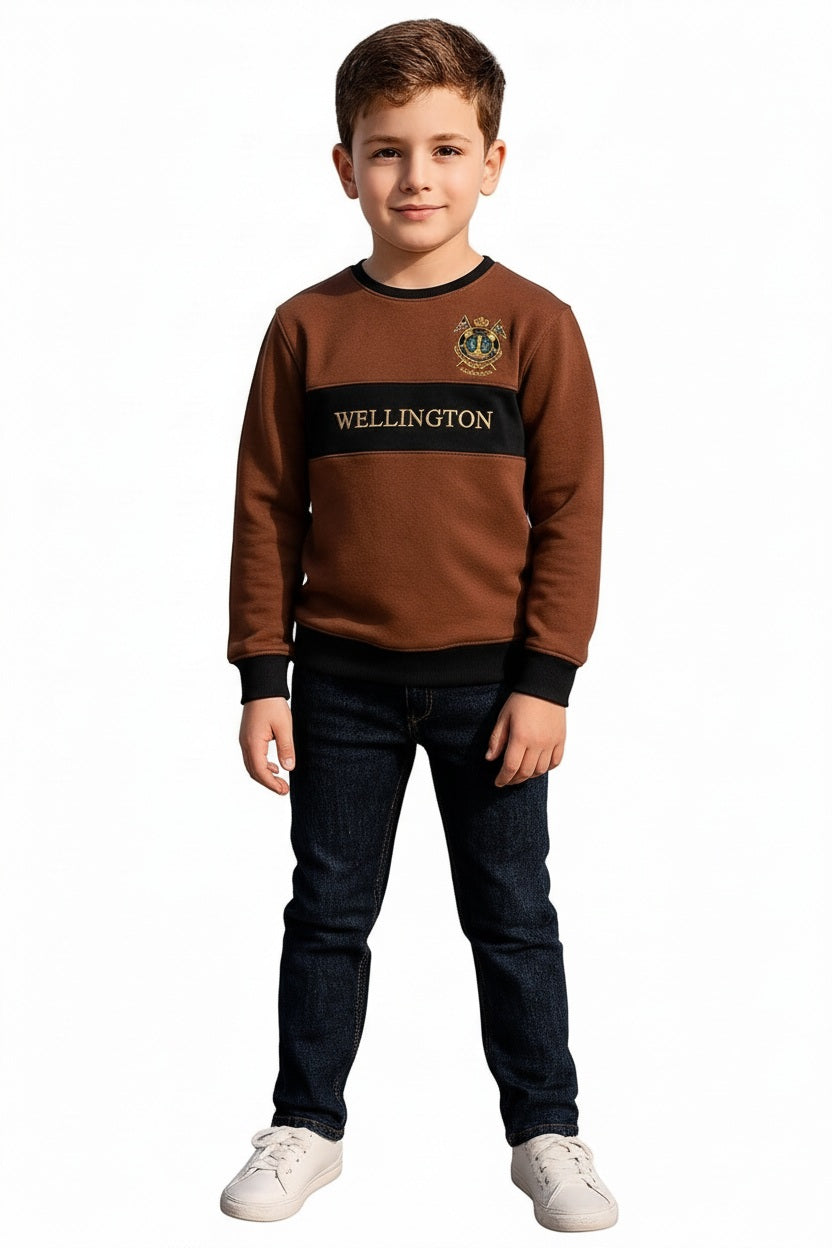 Boys Colourblocked Sweatshirt