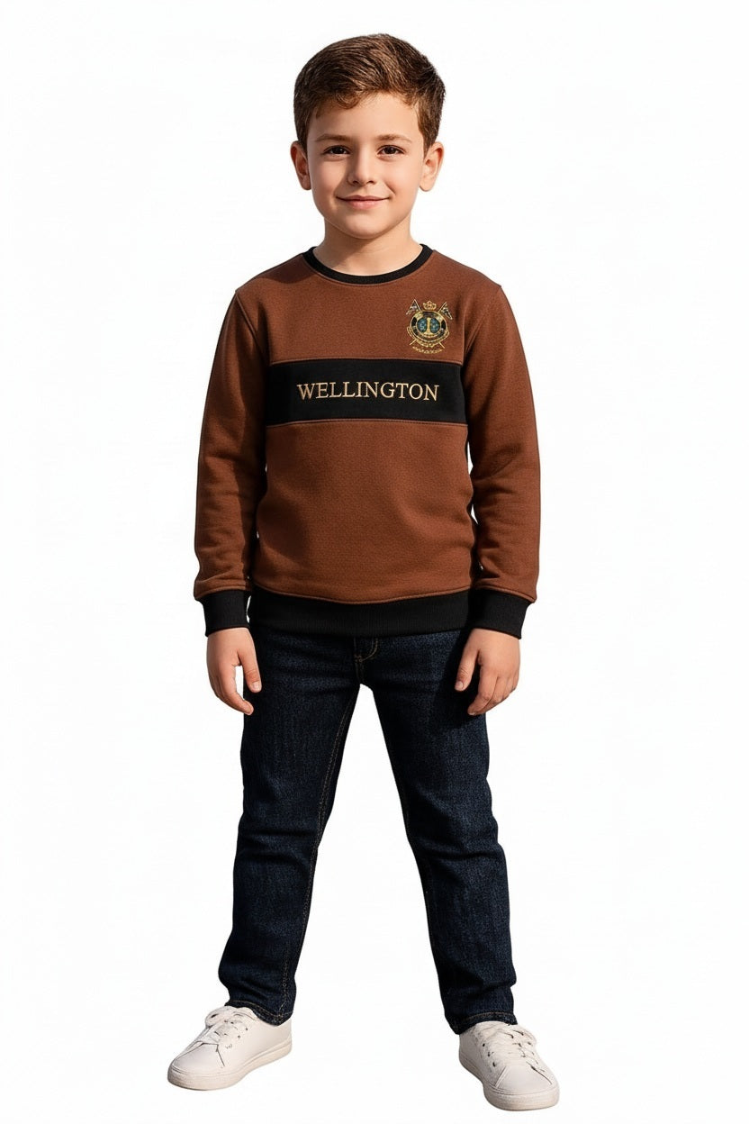 Boys Colourblocked Sweatshirt