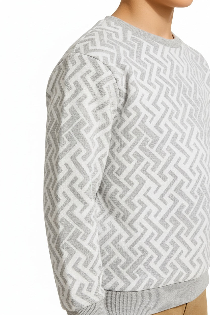 Boys Round Neck Graphic Print  Sweatshirt