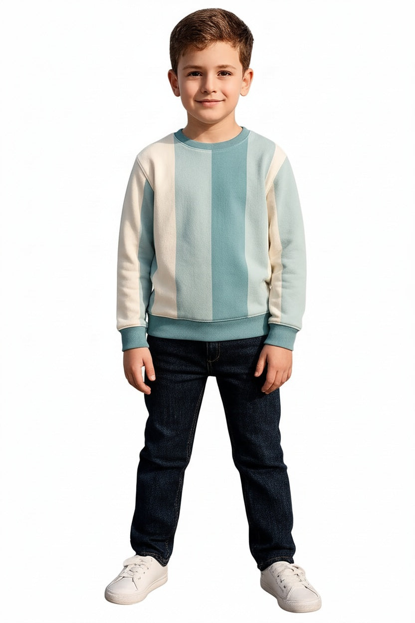 Boys Round Neck Colourblocked Sweatshirt