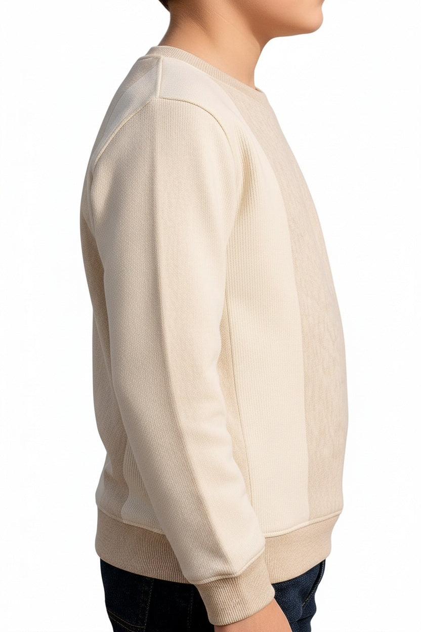Boys Round Neck Colourblocked Sweatshirt