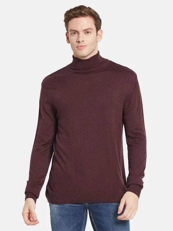 Men Maroon Solid Pullover