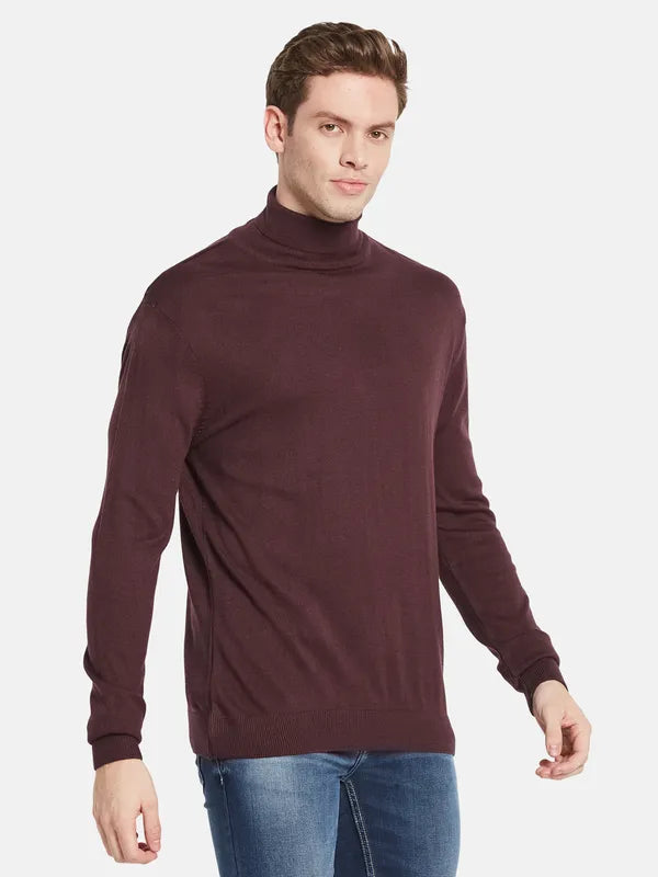 Men Maroon Solid Pullover