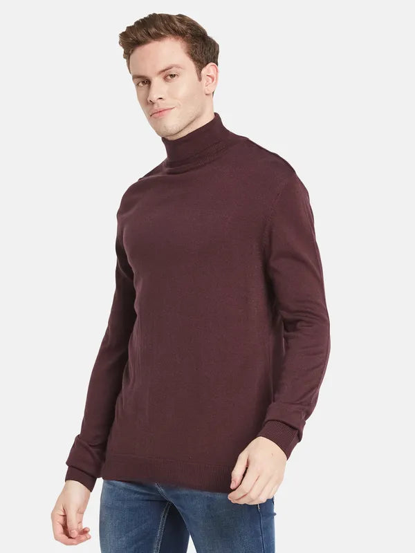 Men Maroon Solid Pullover