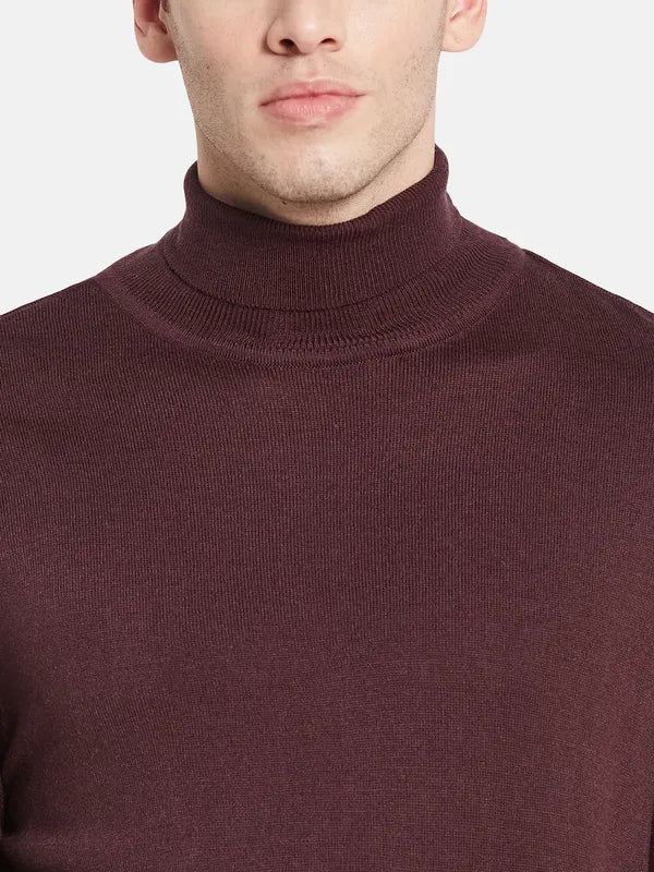 Men Maroon Solid Pullover