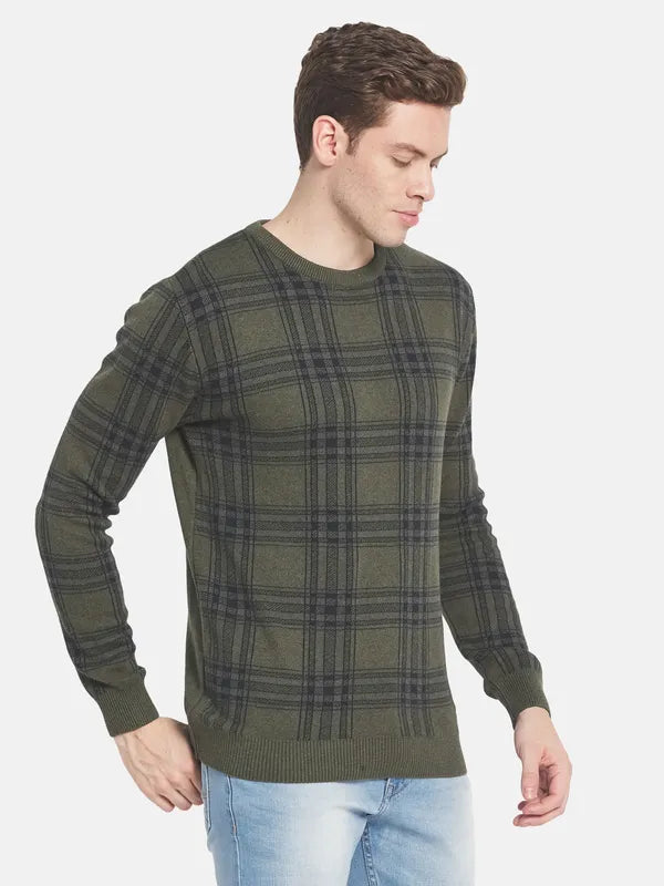 Men Olive Green Checked Pullover