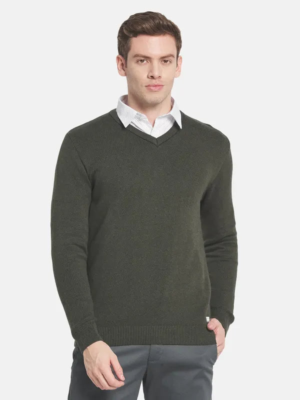 Men Olive Green V-Neck Pullover