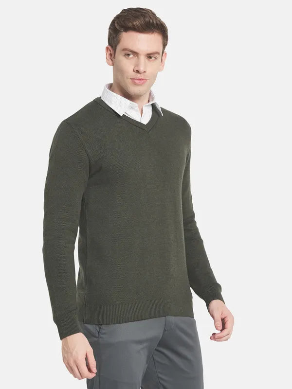 Men Olive Green V-Neck Pullover