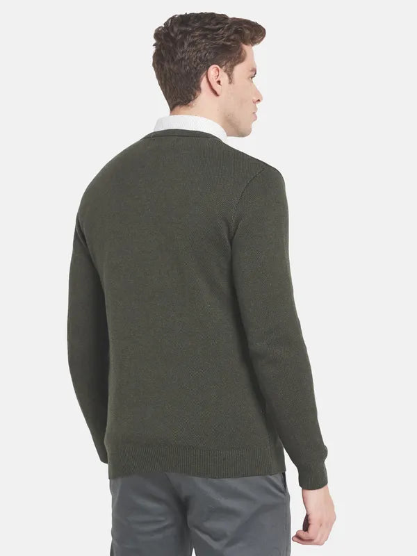 Men Olive Green V-Neck Pullover