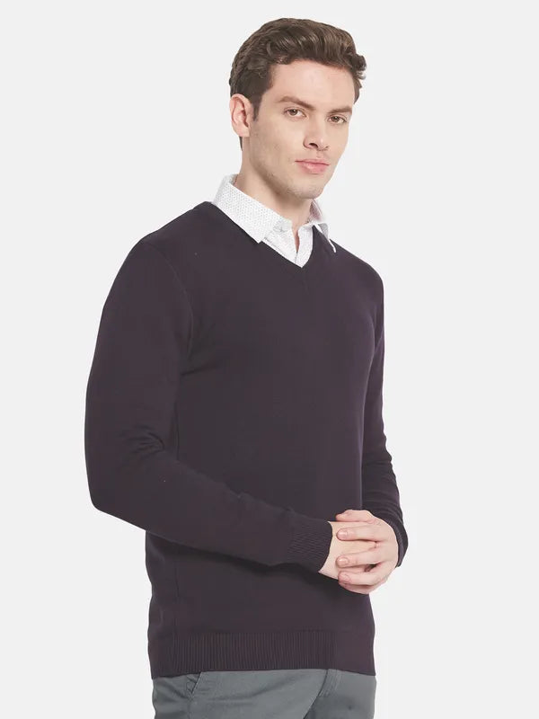 Men Maroon Solid Pullover