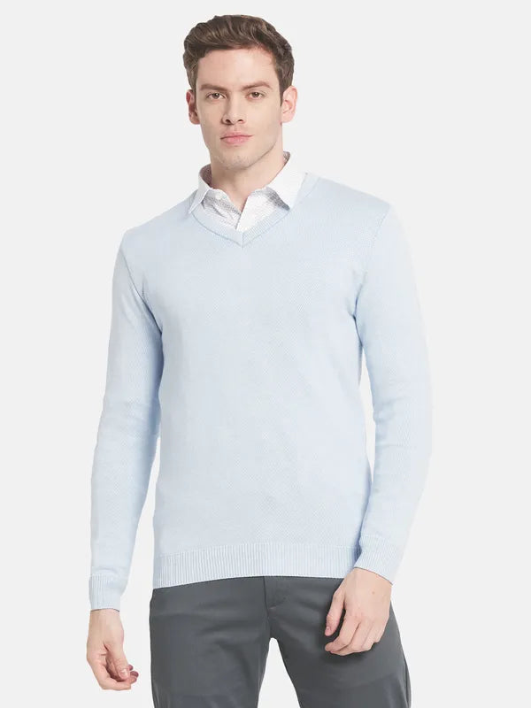 Men Blue Solid Pullover