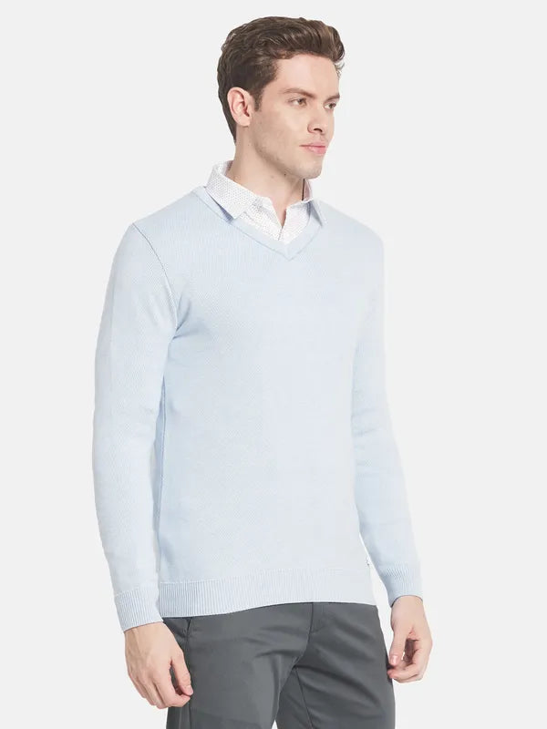 Men Blue Solid Pullover