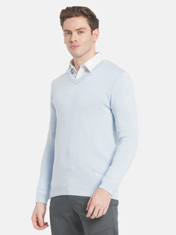 Men Blue Solid Pullover