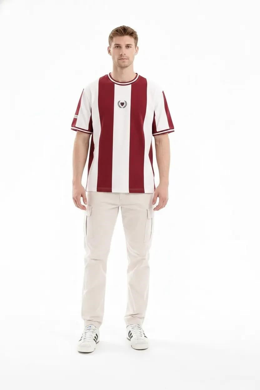 Men  Burnt Brick Striped Monochrome T-shirt