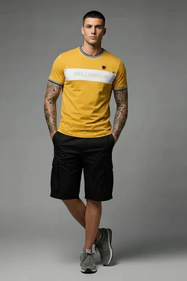 Men Colourblocked T-shirt