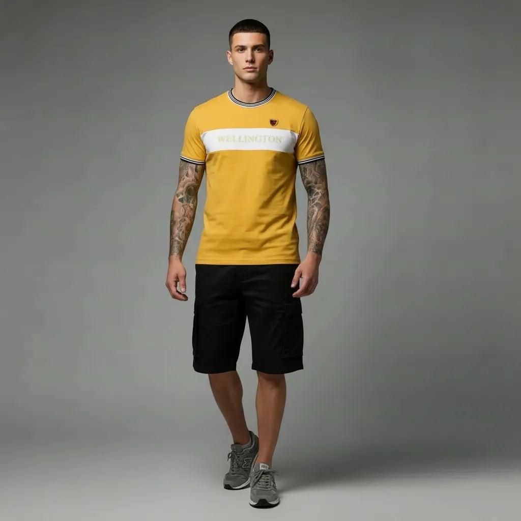 Men Mustard Colourblocked T-shirt