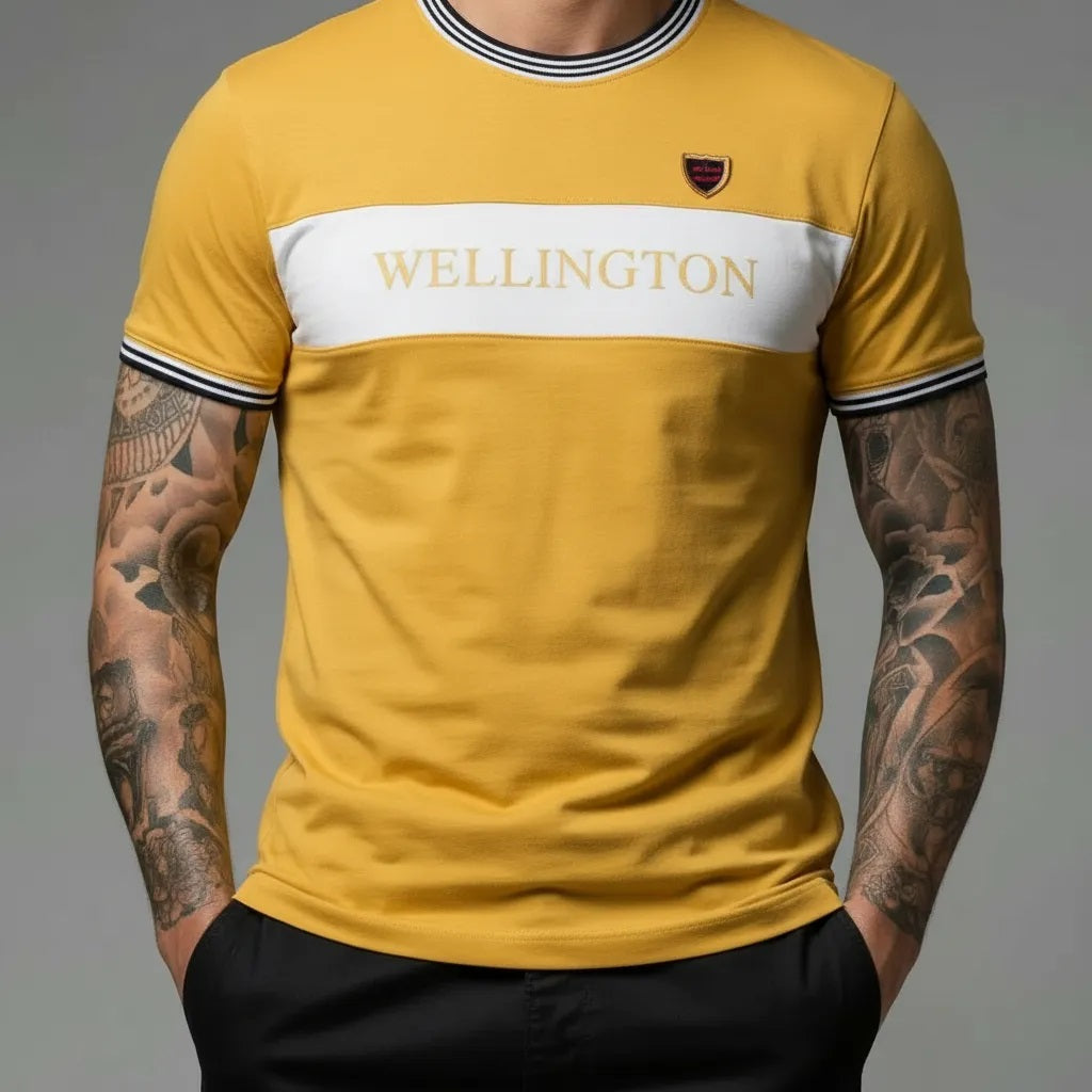 Men Mustard Colourblocked T-shirt