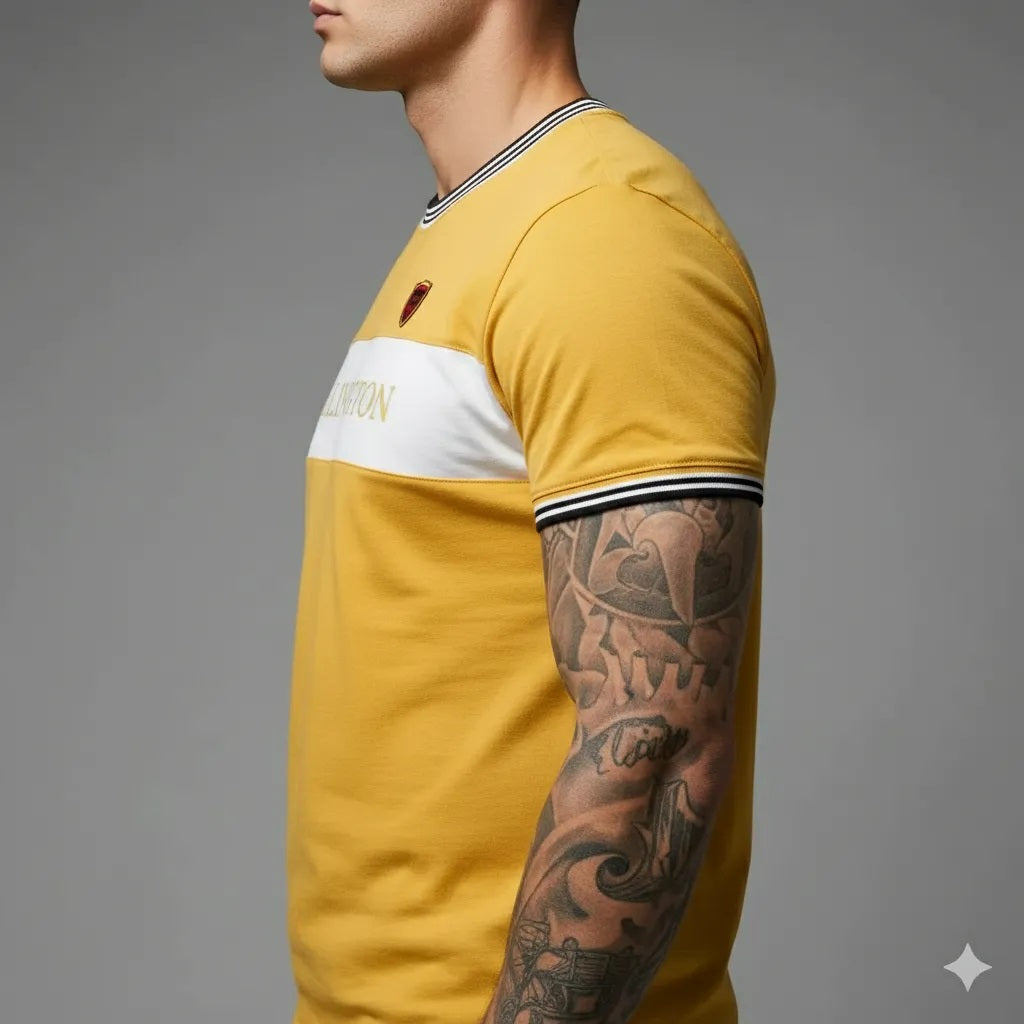 Men Mustard Colourblocked T-shirt