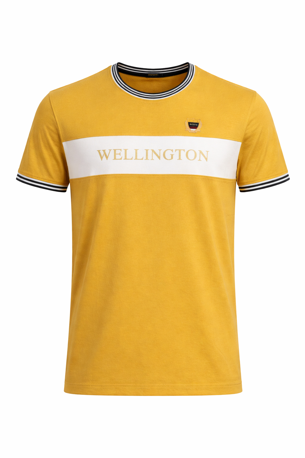 Men Mustard Colourblocked T-shirt