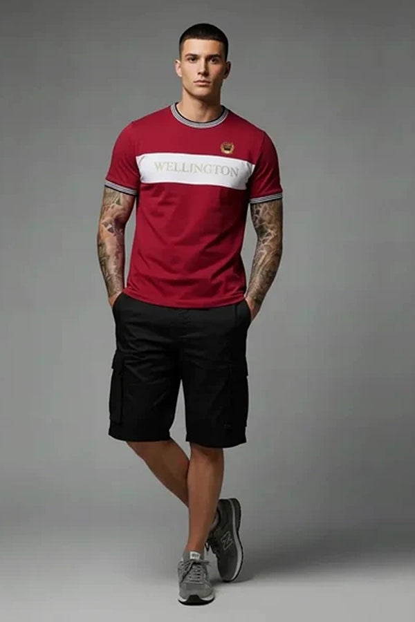 Men Colourblocked T-shirt