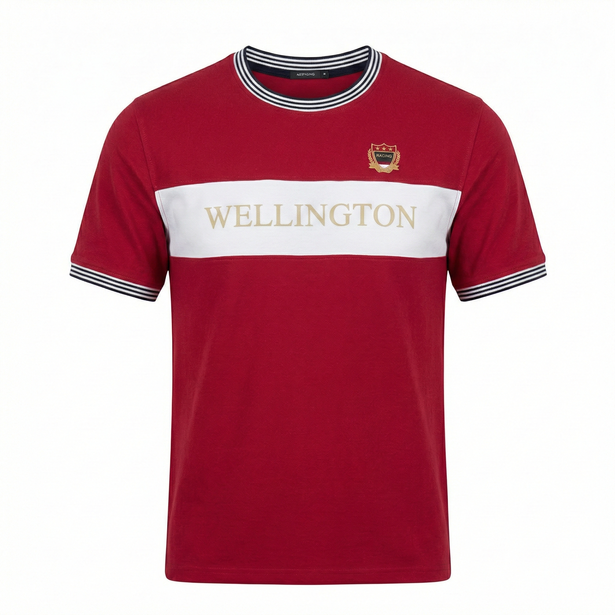 Men Colourblocked T-shirt