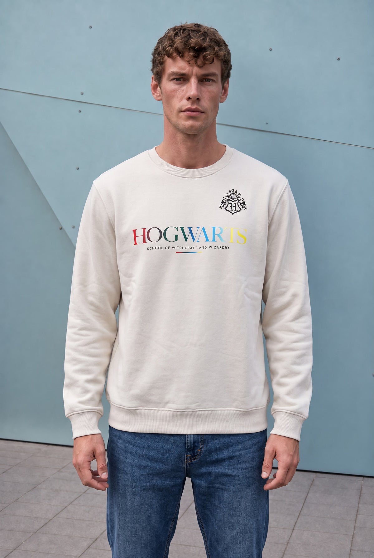 Men’s Onyx Cotton Brushed Fleece Hogwarts Graphic Sweatshirt – Regular Fit