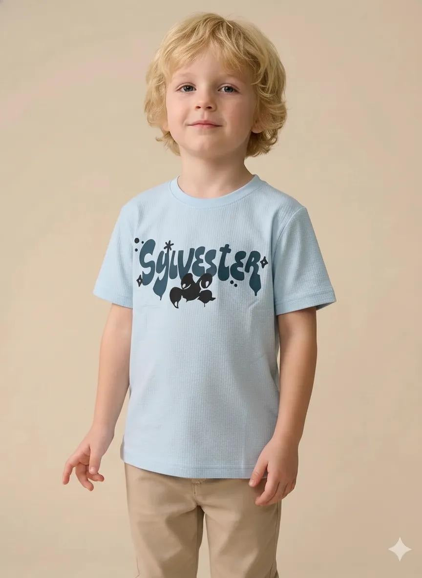 Boy Delicate Blue Round Neck T-Shirt