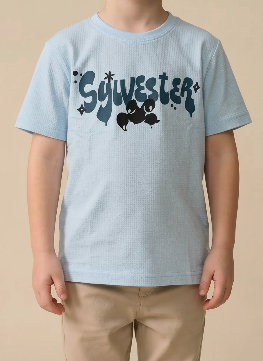 Boy Delicate Blue Round Neck T-Shirt